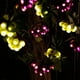thumbnail image 3 of Cadena de luces LIDORE Grape Vine 100 LED para decoración del hogar, 3 of 7