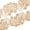 Fone, variant on Sequin Lace Trim 4 Inch Wild Flower Corded Scalloped Embroidery On Sheer Polyester Mesh Fabric - Champagne (4.5 Meters, 1 Pack)