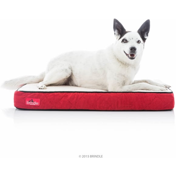 Brindle Cama para perro o gato mediano| Espuma ortopédica viscoelástica 10 cm | Impermeable, funda extraíble y lavable a máquina | Cama Mediana