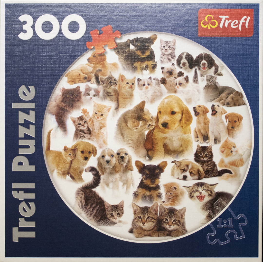 Puzzle Trefl 1000 parts: Cat meeting