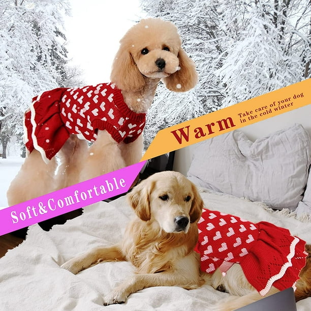 Pull pour chien Robe de chiot: Vêtements d'hiver chauds pour petits chiens  Sweat-shirt pour chien Manteau pour chien Vêtements pour chat Robes de  chaton avec un joli cœur 