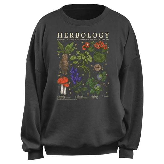 Junior's Harry Potter Hogwarts Herbology Chart Sweatshirt Charcoal Medium