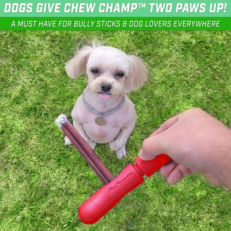 Can Dogs Choke On Bully Sticks