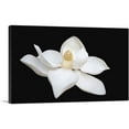 thumbnail image 1 of ARTCANVAS Magnolia White Flower Home Decor Rectangle Canvas Art Print - Size: 40" x 26" (1.50" Deep), 1 of 9