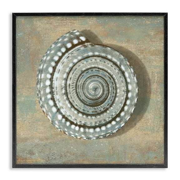 Stupell Industries Spiral Shell Beach Objects Design Framed Wall Art by Christy McKee