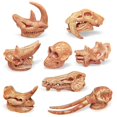 thumbnail image 1 of Alician Simulation Animal Life Growth Cycle Model Toys Kindergarten Teaching Aids Model Educational Toys For Children, 1 of 7