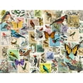 thumbnail image 2 of Art Licensing Studio 32x25 Black Ornate Wood Framed with Double Matting Museum Art Print Titled - Stamp Collector - Birds and Butterflies, 2 of 4