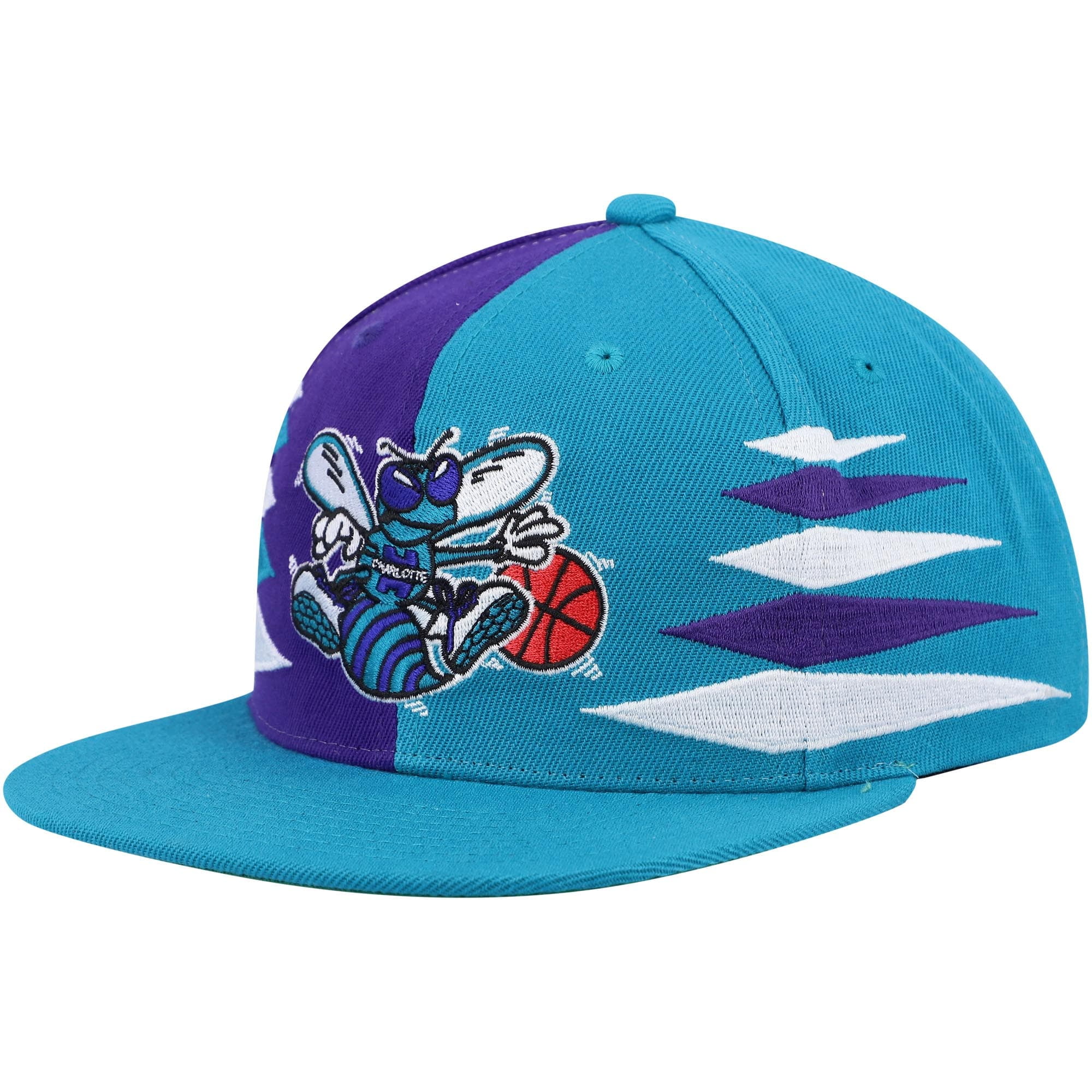 Charlotte Hornets Mitchell \u0026 Ness 