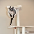 thumbnail image 4 of Armarkat Classic real wood Cat Tree 62 inch A6202 Beige, 4 of 6