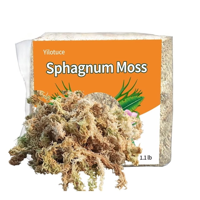 Yilotuce 1.1 lb Sphagnum Moss for Plants, Carefully Selected Clean Sphagnum Mos for Rooting Plants