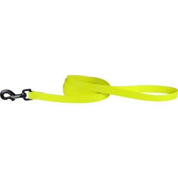 Leather Brothers  0.75 in. x 6 ft. Carnival Biothane Dog Lead, Neon Yellow