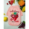 thumbnail image 2 of PETSIN Petsin Fruity Strawberry Printed Bird's Eye Mesh Breathable Pet T-shirt For Cats And Dogs (1pc), 2 of 5