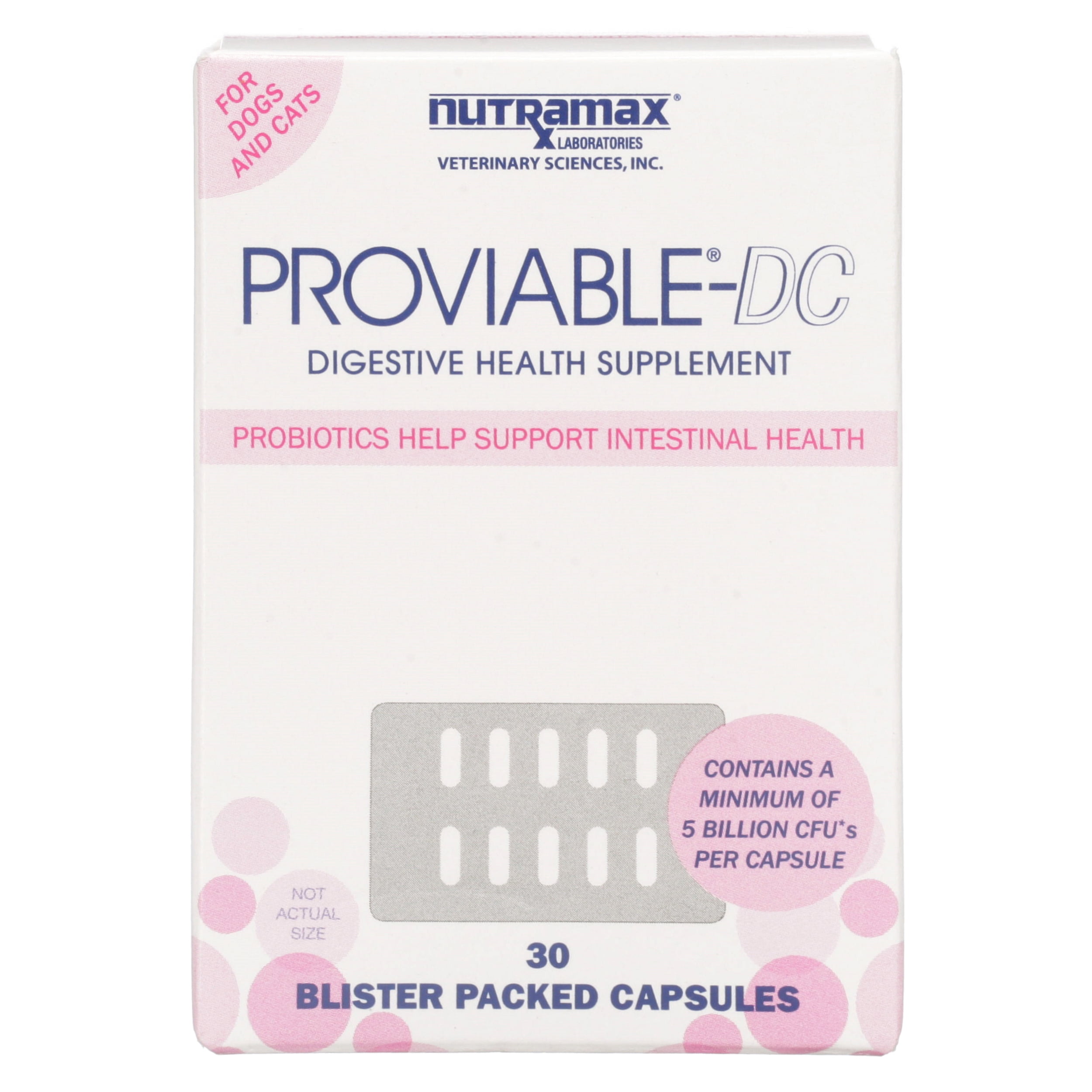 nutramax proviable dc for dogs