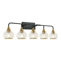 40" Modern Black and Gold 5 Light Bathroom Vanity Light Fixture, Clear Glass Shades Wall Sconce for Mirror, Living Room, or Vanity (Bulbs Not Included)