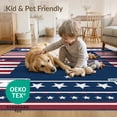 thumbnail image 4 of ODIKA Door Patriotic Striped Burst Bold Stripe Border Motif Generic Front Flowing for Living Room, Under Sectional, Family , Non-Slip Flatwoven, 4 of 7