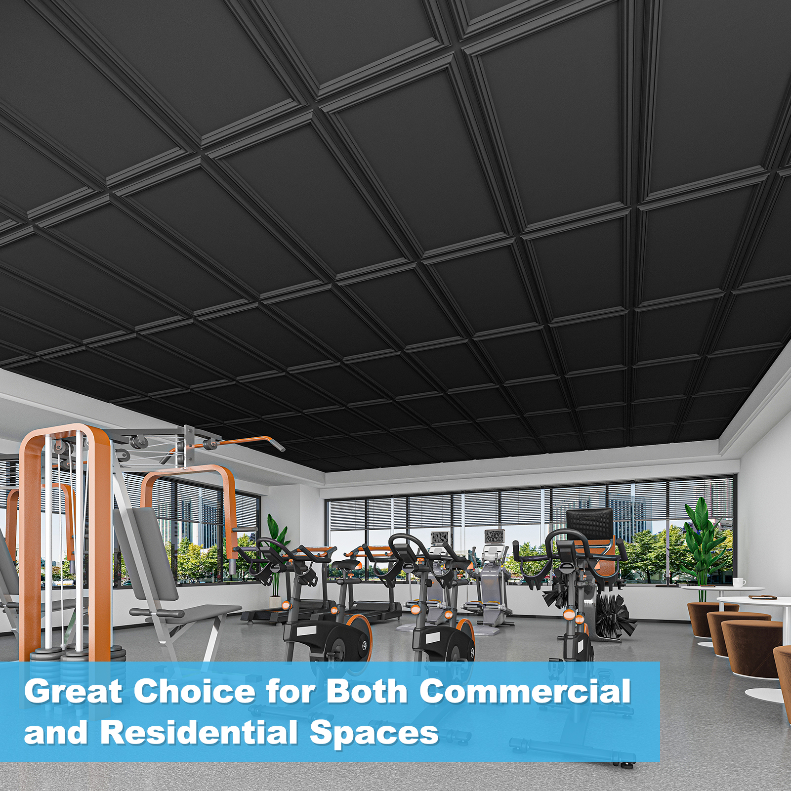 24" x 48" Drop in PVC Ceiling Tiles,12-Pack Black Decorative 3D Ceiling Panels for Home Decor,Waterproof & Easy Installation,96 sq.ft./Case