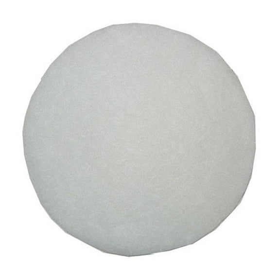 Replacement Part For Bissell Garage Pro Vacuum Cleaner Secondary Filter # 2030165