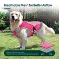 thumbnail image 5 of IDOMIK Dog Cooling Vest with D-Ring, Lightweight Pet Cooling Harness Shirt, Breathable and Reflective Cooler Jacket for Medium Dogs, Pink, 5 of 7