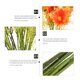 thumbnail image 5 of unbranded 10Ud Ramo Decorativo De Margaritas Artificiales En Para Fiesta Y Hogar, 5 of 5