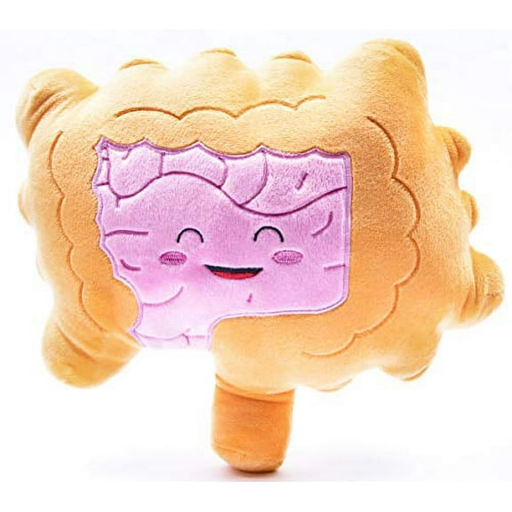 nerdbugs Intestine Plush- Intestined for Greatness-Colon/Intestine Plush Organ toy for IBS, Colitis, Crohns and GI Support Plush/ Health Education Gift/ Surgery gift/ Gastroenterology get well gi