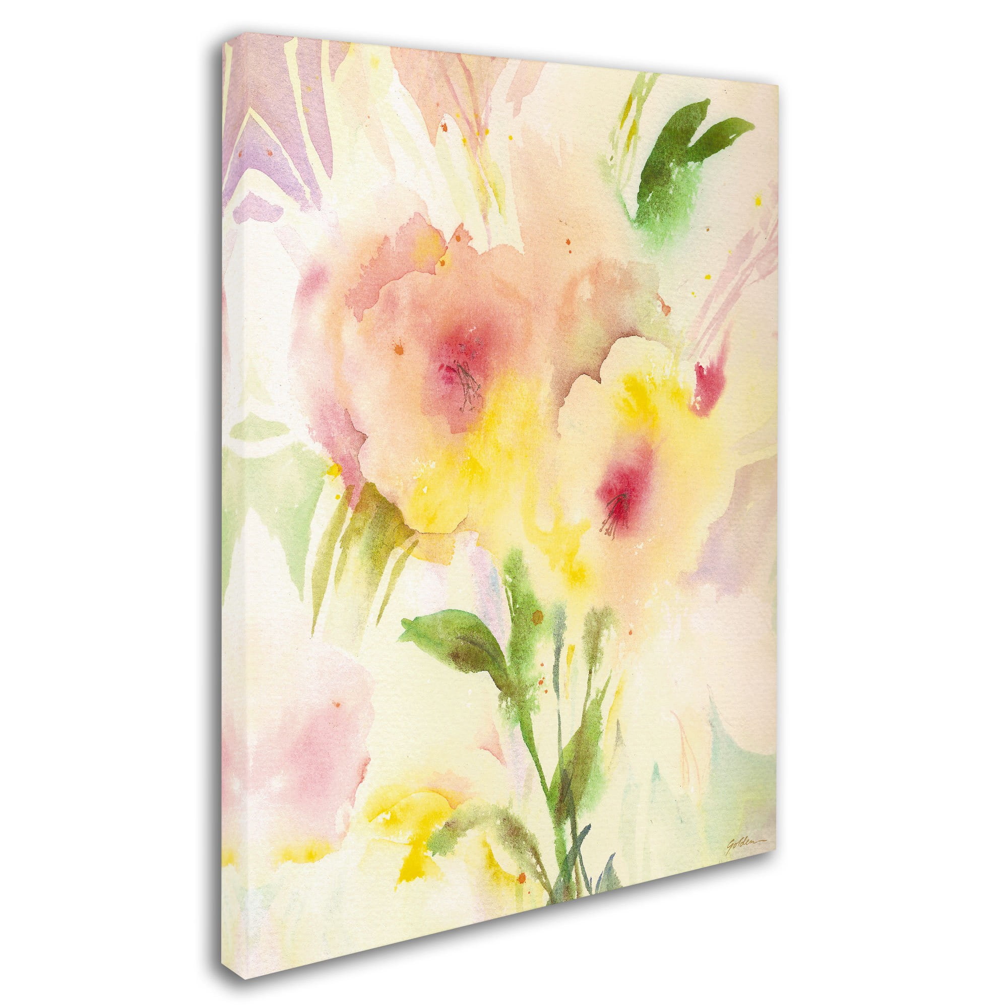 Trademark Fine Art "Primrose Reflection" Canvas Art by Sheila Golden