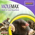 thumbnail image 4 of Bonide MoleMax Ready to Spray Outdoor Mole and Vole Repelling Spray, 32 Oz, 4 of 5