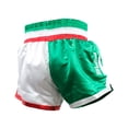 thumbnail image 2 of Fire Sports Short Muay Thai Fuerza Tricolor Mediano FIRE SPORTS Short/Fuerza Tricolor/Mediano, 2 of 3