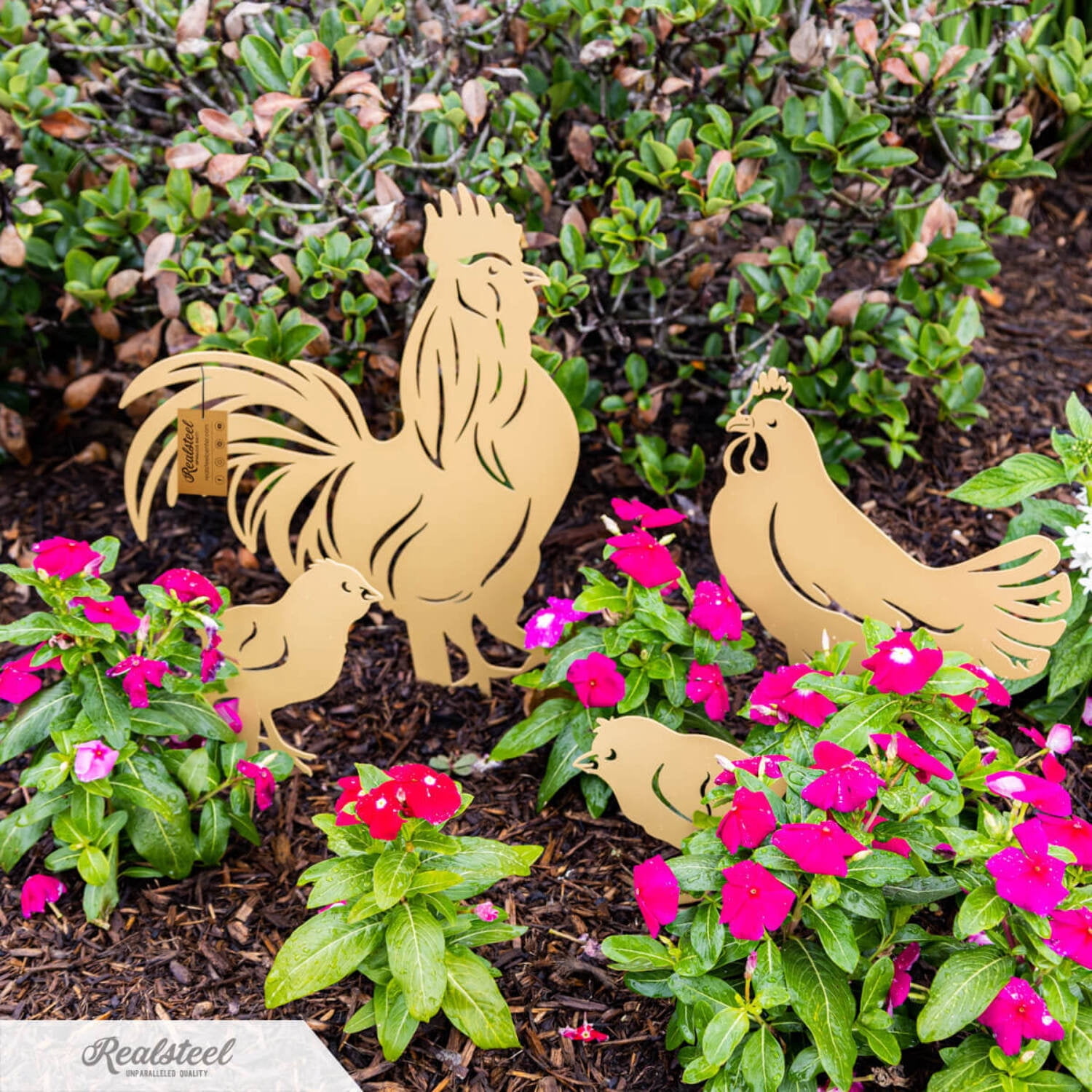 RealSteel Garden Art - Chickens 4 Pack, Life-Size Farmyard Yard Decorations (Penny Vein)