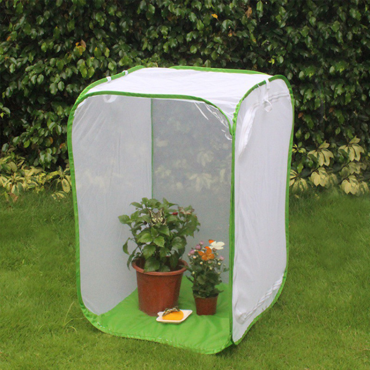 Large Pop-up Butterfly & Insect Habitat - Rainproof, Windproof, With Observation Window For Raising Caterpillars - View #4