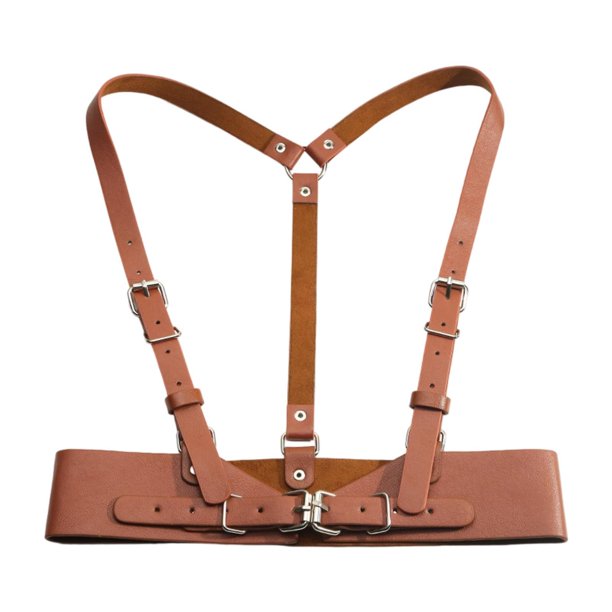 Cinturón de cintura para mujer, faja moldeadora de cuerpo, cinturón de pecho para citas, ropa de calle y vestidos. Marrón