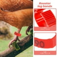 Eeristq 200pcs Chicken Leg Bands Chicken Leg Tags with Number Chicken Duck Poultry Leg Band