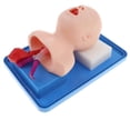 thumbnail image 1 of Vogacara Modelo de práctica repetida de cánula de tubo de aire de maniquí de intubación infantil Juguetes, 1 of 1