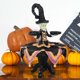 thumbnail image 3 of Halloween Pumpkin Ornaments Halloween Witch Stand Display Decorative Resin Crafts, 3 of 5