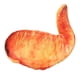 thumbnail image 1 of Cojín decorativo de felpa con forma de alitas de pollo, 1 of 7