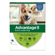 Advantage II Flea Treatment for Extra Large Dogs, 6 Monthly Treatments