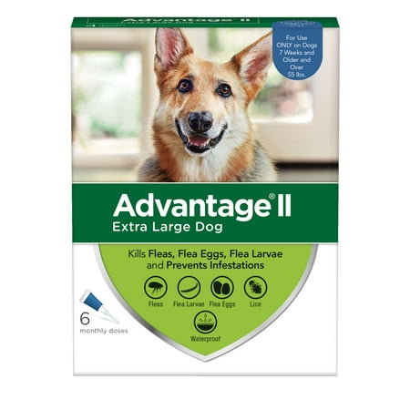 Advantage II Flea Treatment for Extra Large Dogs, 6 Monthly Treatments