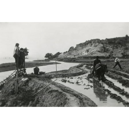 Chinese Rice Cultivation Using Traditional Methods A Group Including Women Pedal To Lift Irrigation Water To The Terraced Field Next To A River A Man Plows With A Ox Ca 1930-1950 -