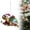 D, variant on Clearance Cute Turtle with Santa Hat Acrylic Ornament for Christmas Tree