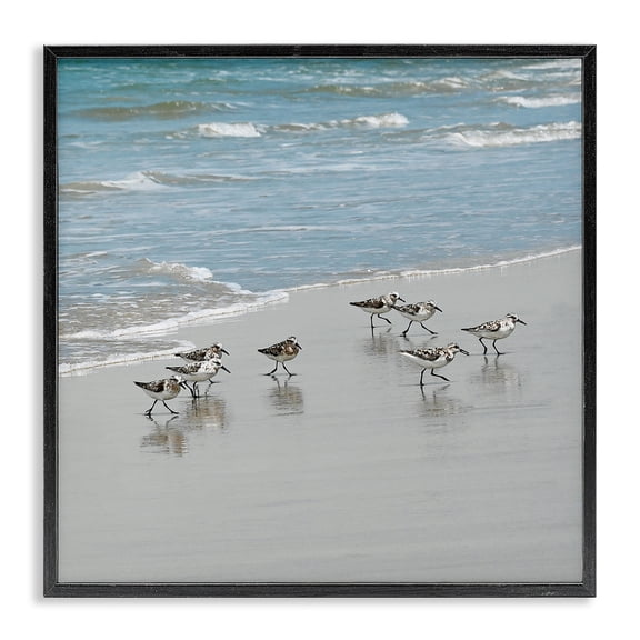 Stupell Industries Rustic Lodge Sandpipers Flock Sandy Beach Shore Black Framed Giclee Art, 24 x 24, by Natalie Carpentieri