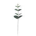thumbnail image 3 of 10 ramos de hojas de eucalipto artificiales, plantas de eucalipto artificiales, ramos de hojas de eucalipto artificiales de dólar de plata para fiestas, bodas, decoración del hogar JM, 3 of 5