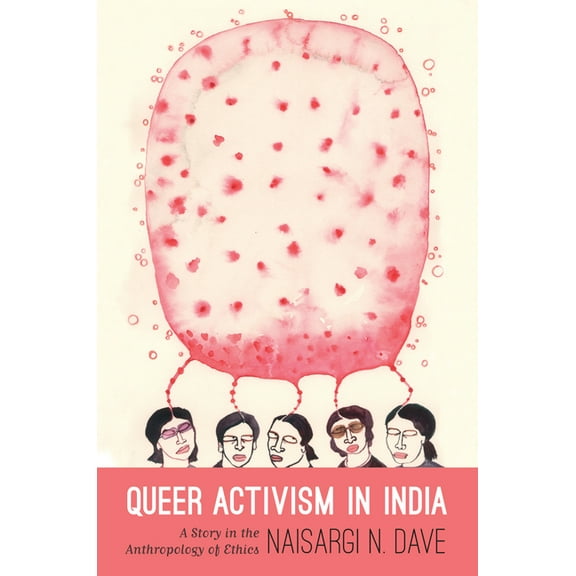 Queer Activism in India: A Story in the Anthropology of Ethics, (Paperback)