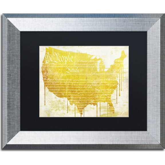 Trademark Fine Art "American Dream II" Canvas Art by Color Bakery, Black Matte, Silver Frame