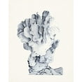 thumbnail image 2 of Vision Studio  12x14 White Modern Wood Framed Museum Art Print Titled - Blue Antique Coral IV, 2 of 4