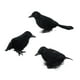 thumbnail image 3 of Cuervos de Halloween Macarena 3x Cuervos con plumas negras Estilo A, 3 of 8