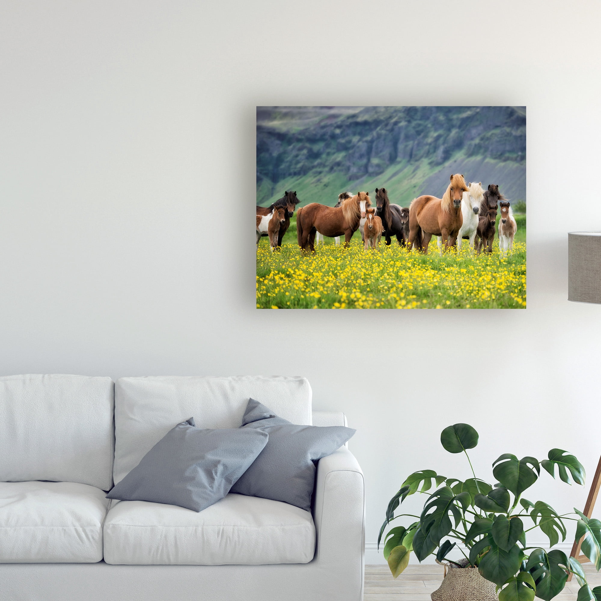 Trademark Fine Art 'Icelandic Horses VII' Canvas Art by PHBurchett