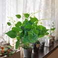 thumbnail image 3 of BotaniNest Fausses Vignes de Verdure Pothos Feuilles pour Mur Intérieur Cour, 3 of 6