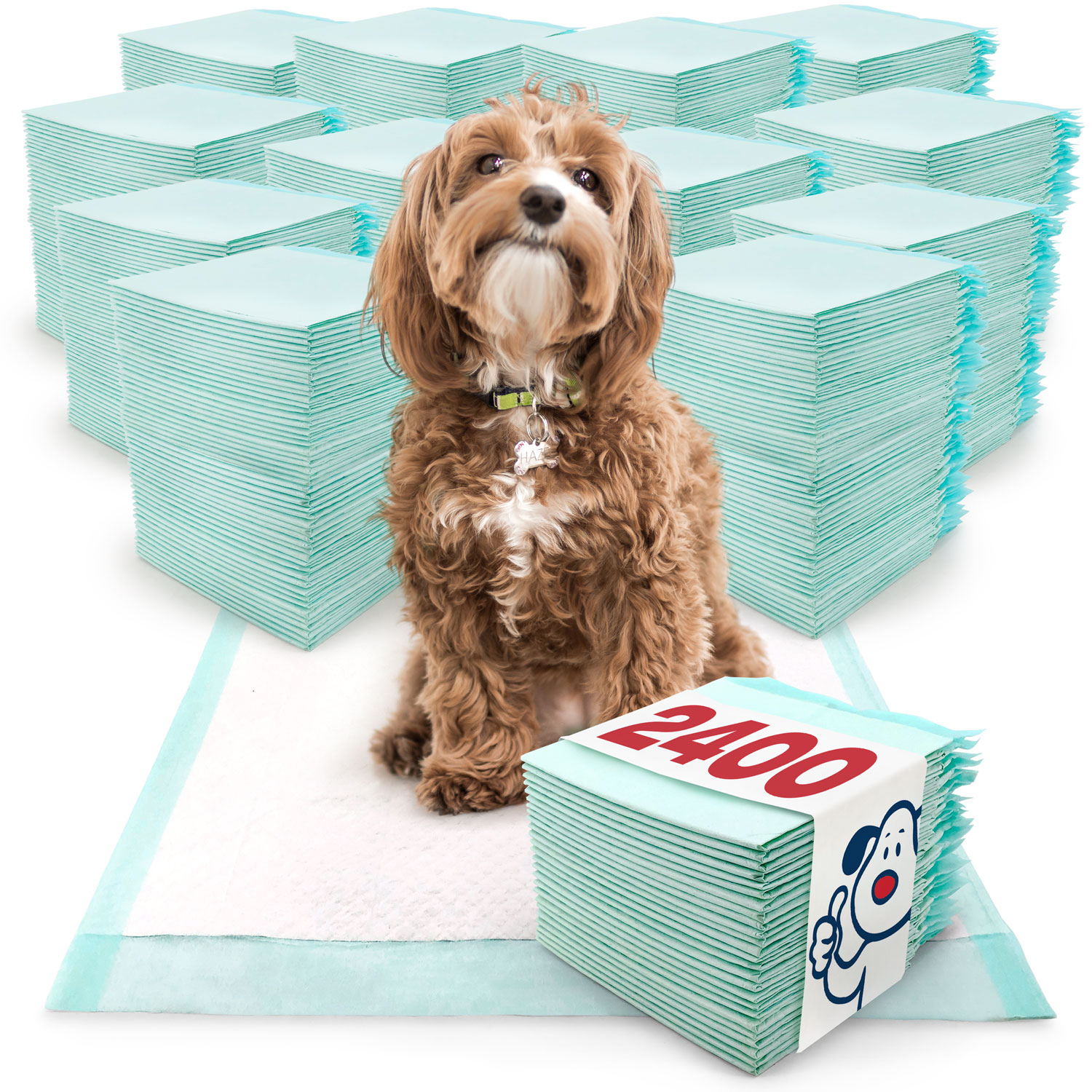 ValuePad Plus Puppy Pads, Medium 23x24 Inch, 2400 Count