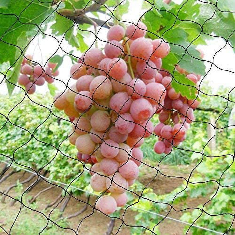 Fichiouy 100ftX50ft Anti Bird Netting Nylon Woven Fencing Cover Plant Mesh for Garden Black