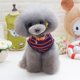 thumbnail image 5 of Ropa para mascotas Ropa para perros Primavera verano chaleco a rayas tricolor Gato Ropa para perros Ropa para perros Mascotas MFZFUKR BST2002785-3, 5 of 5