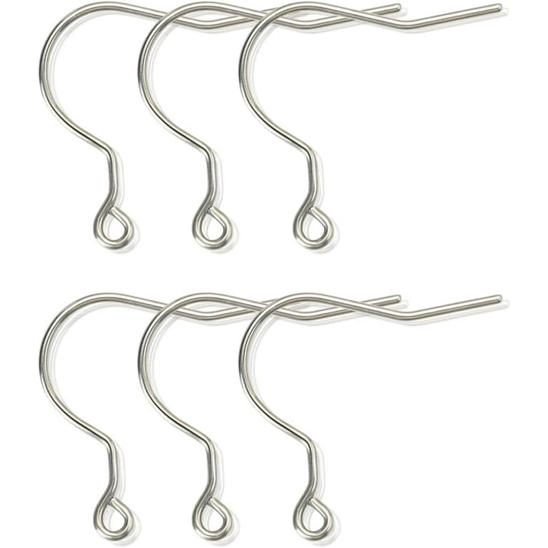 6pcs 20g Big Pure Titanium Earring Fish Hooks DIY Earrings Findings for Jewelry Making, Hypoallergenic Earring Hooks Making Kit for Women Girls Men